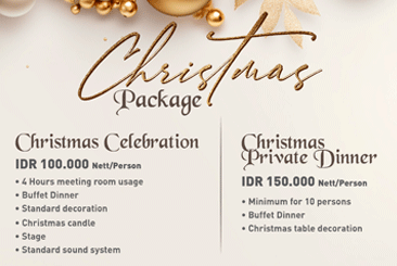 Christmas Package
